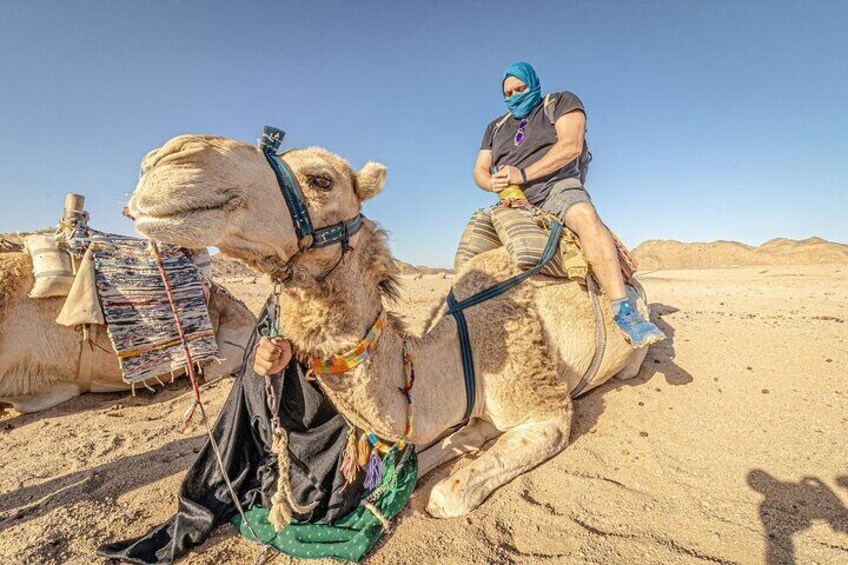 Hurghada Cultural Tour, Camel Ride, Dinner and Show