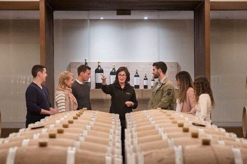 Visit to Bodegas Izadi