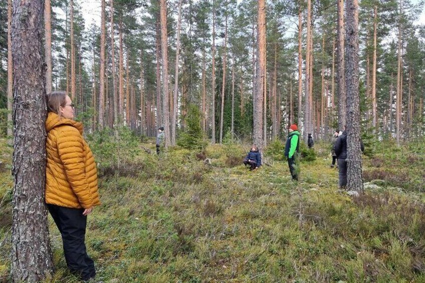 Urban Nature Walk Experience in Helsinki Central Park