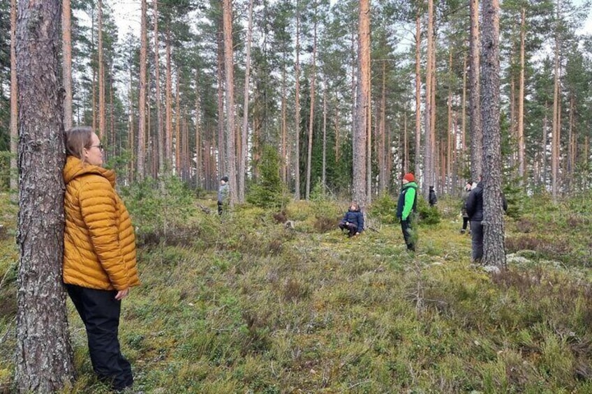 Urban Nature Walk Experience in Helsinki Central Park
