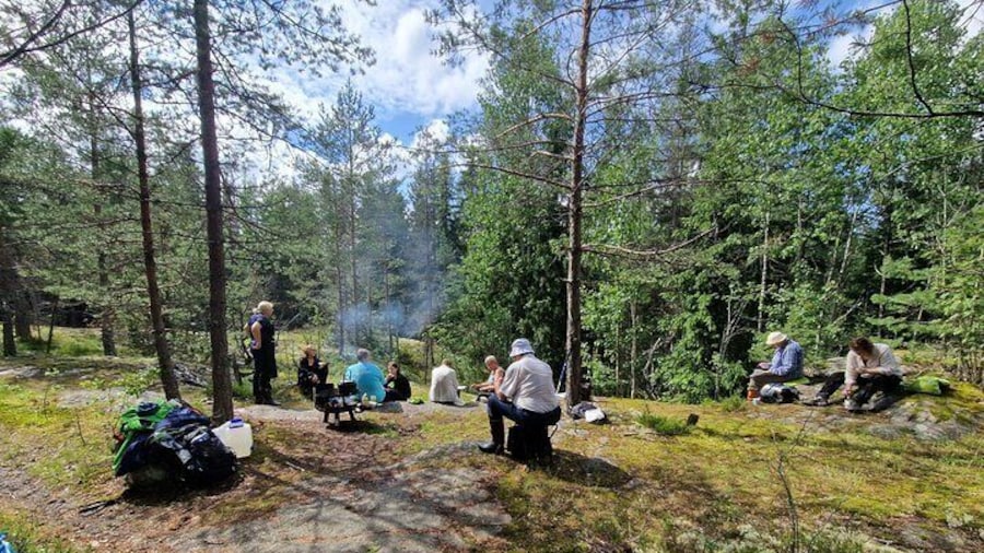 Urban Nature Walk Experience in Helsinki Central Park