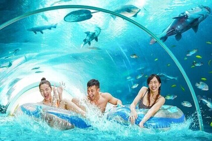 Adventure Cove Waterpark Singapore Tickets