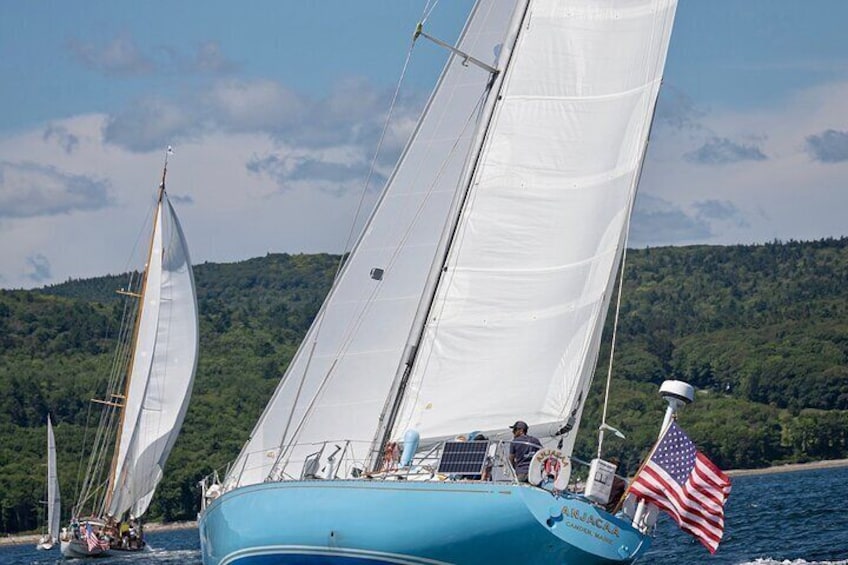 Luxury Camden Sailing Experience
