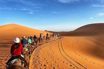 Cultural Treasures of Fes Full Day Guided Tour