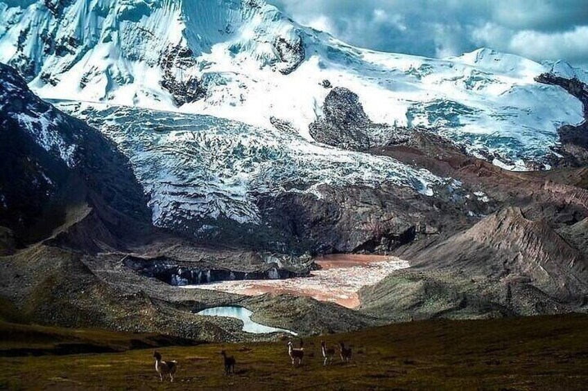 Explore Lagoons of Auzangate from Cusco