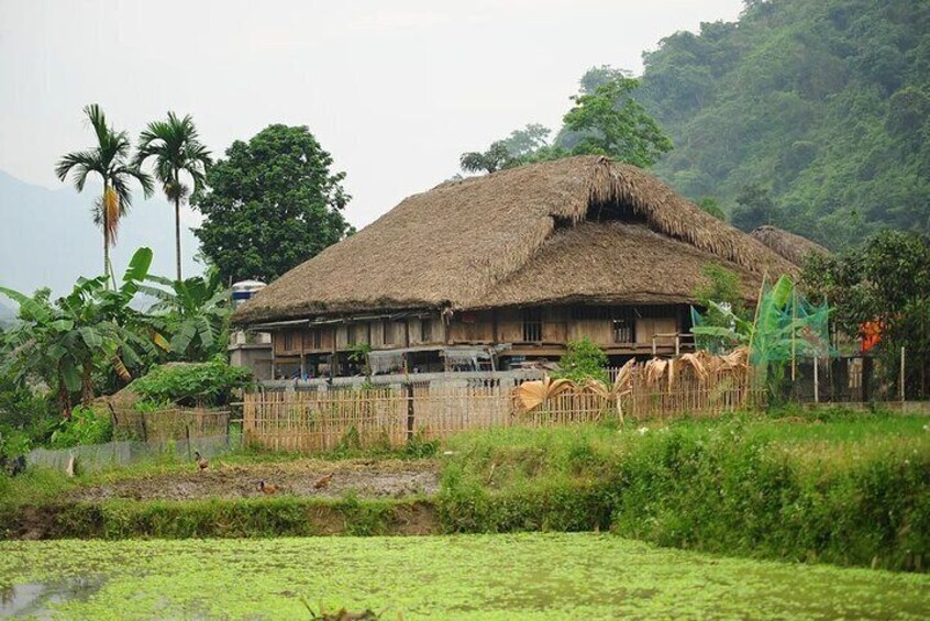 Hua Ma Cave and North-East Vietnam Private Tour 8 Days
