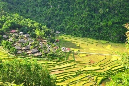 3 Days Authentic Adventure to Mai Chau Ninh Binh from Hanoi