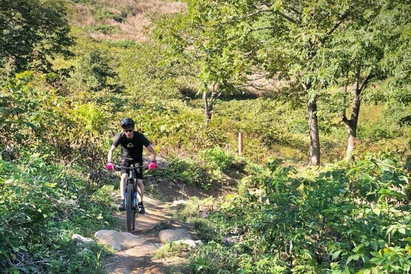 Twins peak tour