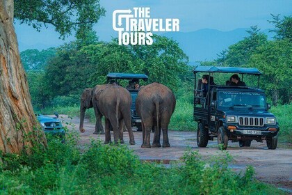 Udawalawe National Park privat Jeep Tour Safari upplevelse