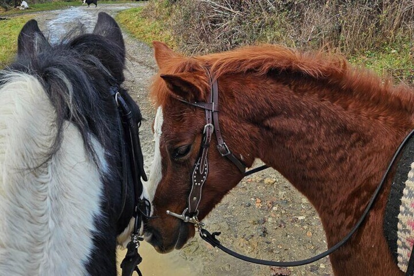 Horseback riding in the Tuscan hills