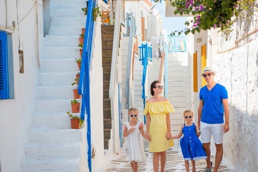 Mykonos Cruise Ship Stop: Tour with a Local Guide Port - Pick Up