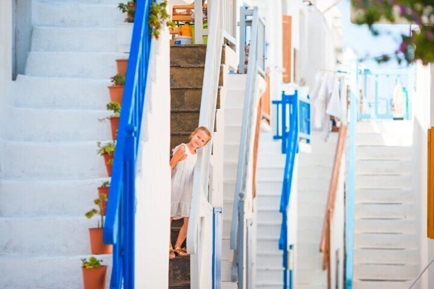 Mykonos Cruise Ship Stop: Tour with a Local Guide Port - Pick Up