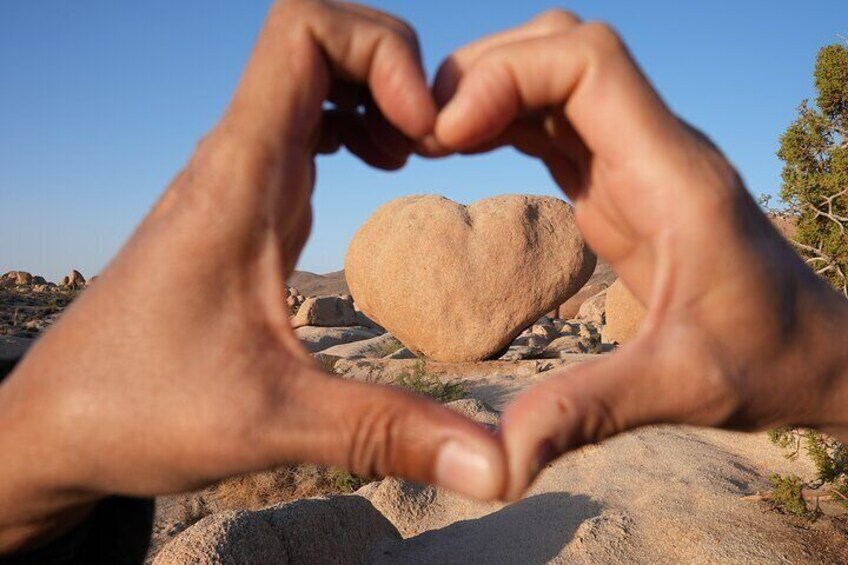 Visiting Heart Rock in Joshua National Park