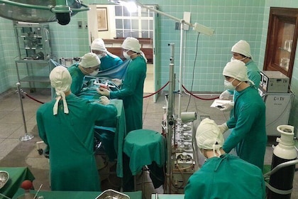 world First Heart transplant Museum and constantia wineries, pvt