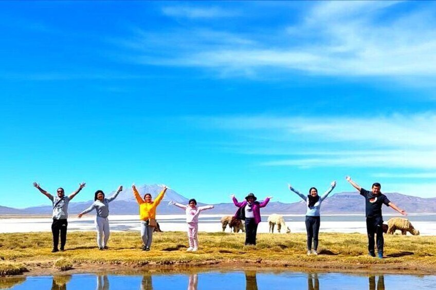 Salinas Lagoon Tour from Arequipa for a Day