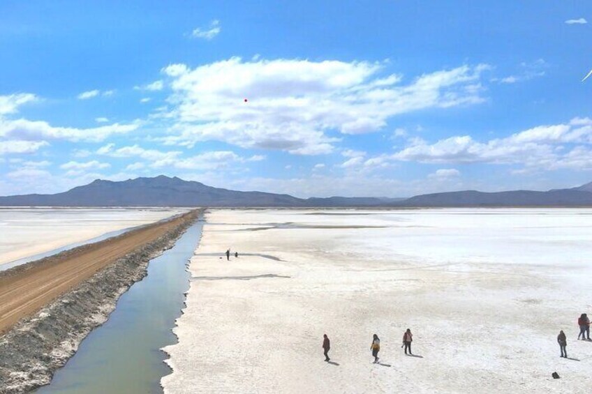 Salinas Lagoon Tour from Arequipa for a Day