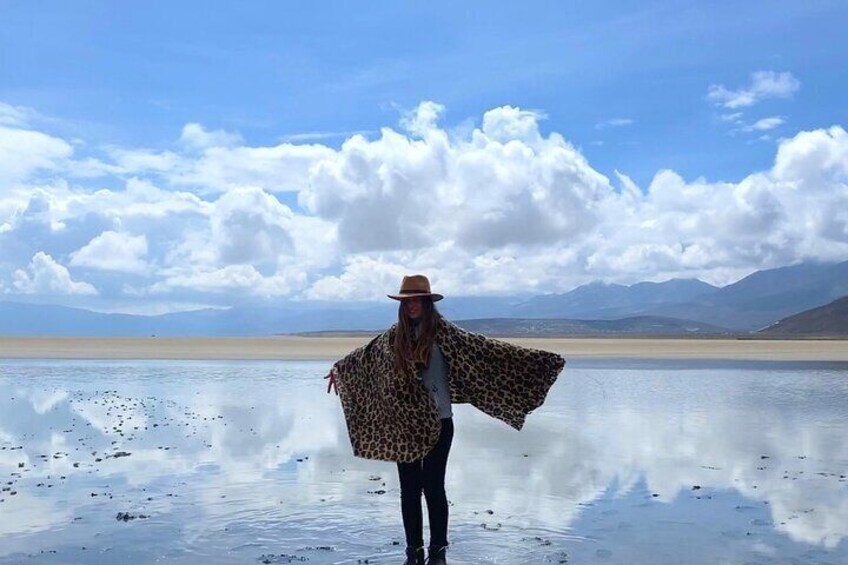 Salinas Lagoon Tour from Arequipa for a Day