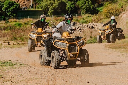 1 Hour Guided Adventure at Quads quad bike in Mijas Malaga