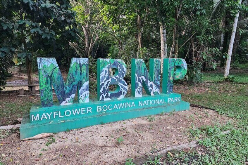 Guided Hike to Antelope Falls at Bocawina National Park
