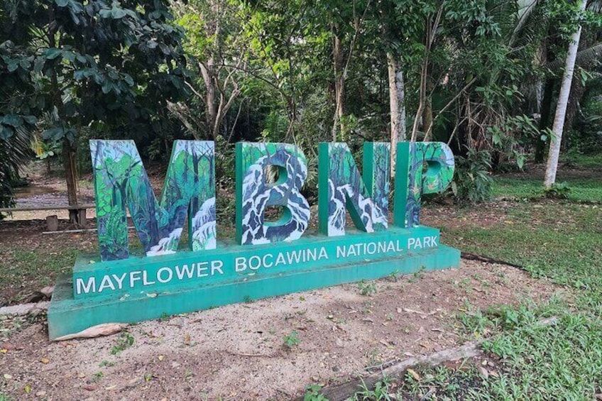Guided Hike to Antelope Falls at Bocawina National Park