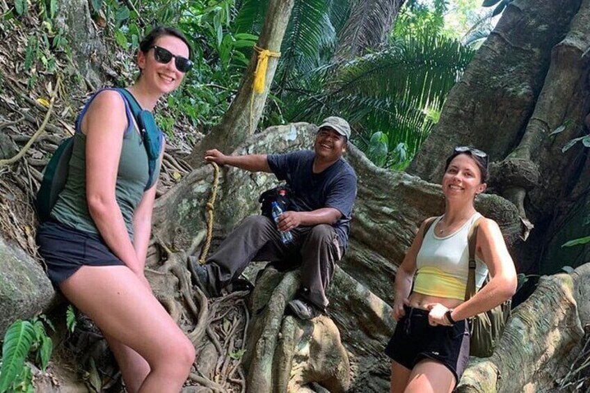 Guided Hike to Antelope Falls at Bocawina National Park
