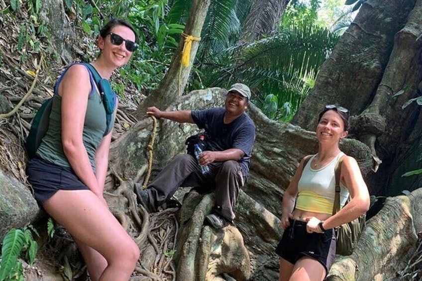 Guided Hike to Antelope Falls at Bocawina National Park