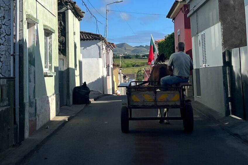 Private Tour Nordeste 