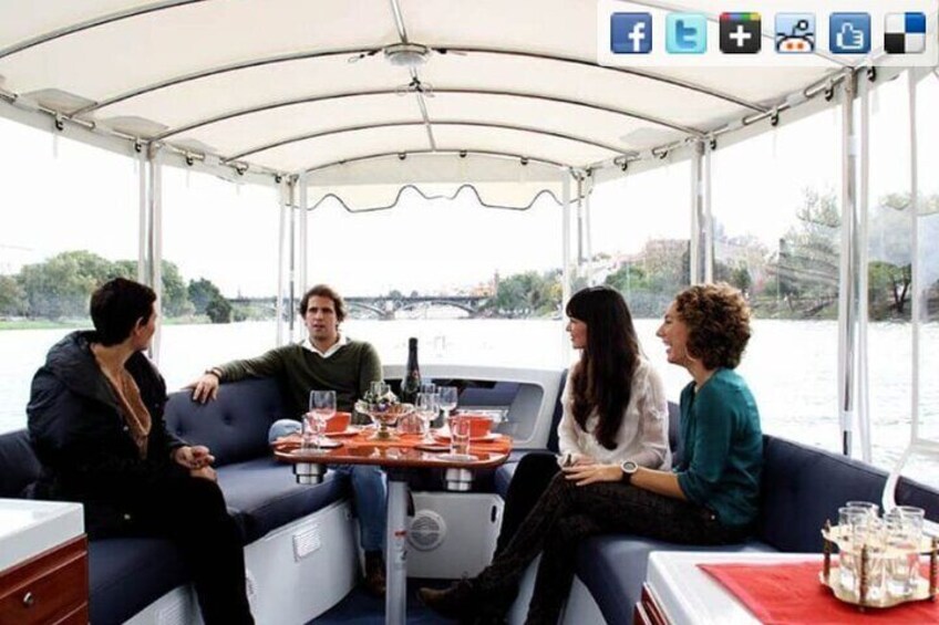 Private Eco-Cruise by Guadalquivir with Certified Guide