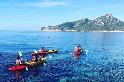 Explore the Island Dragonera by kayak