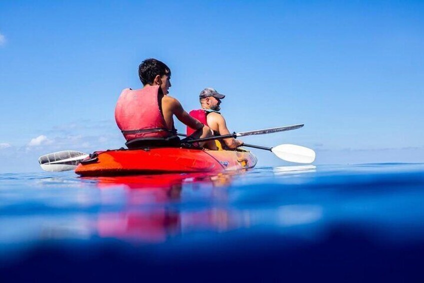 Explore the Island Dragonera with the kayak
