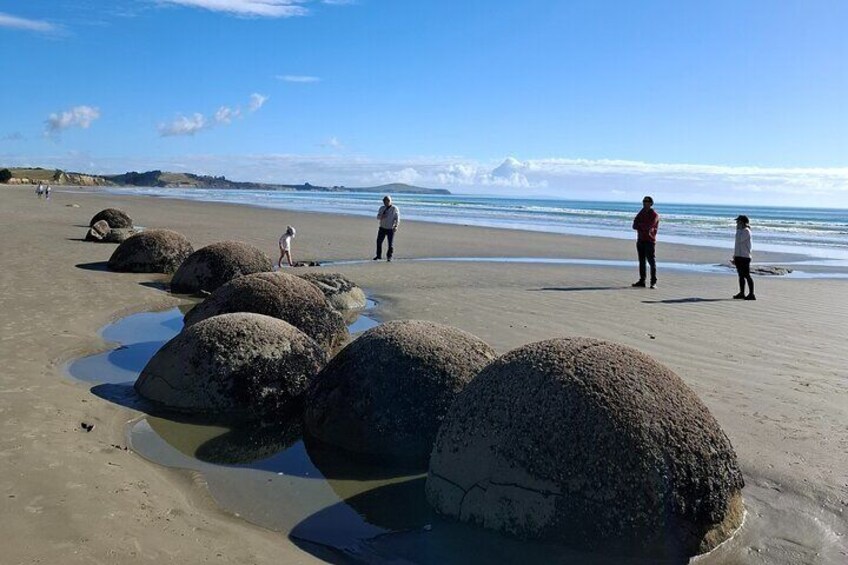 East Coast North Otago Seven Hours Scenic Tour