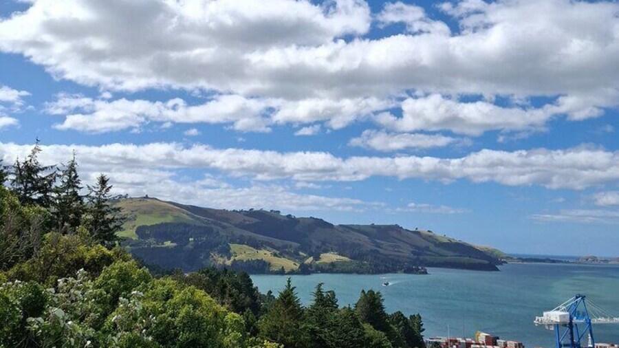 East Coast North Otago Seven Hours Scenic Tour