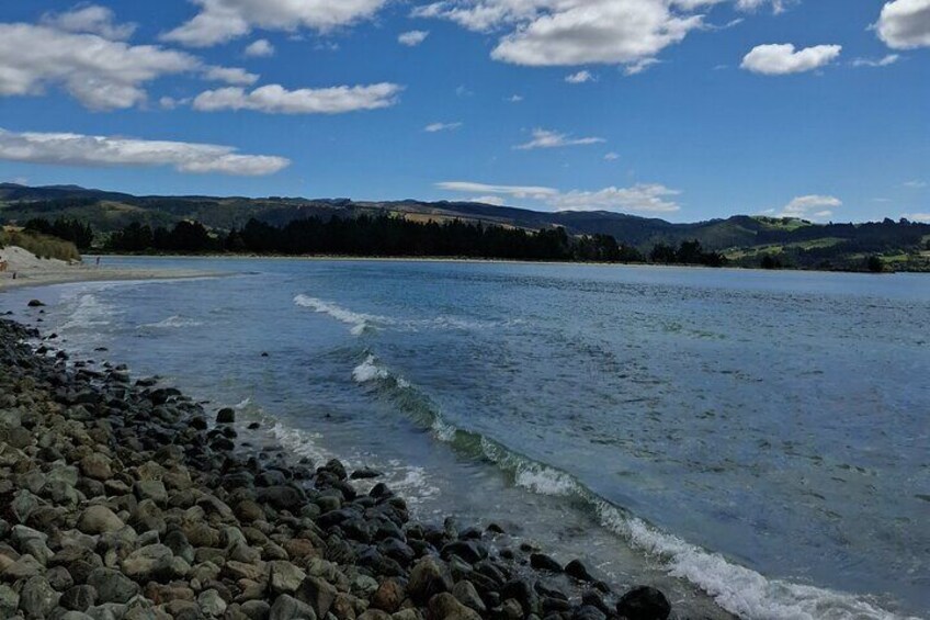 East Coast North Otago Seven Hours Scenic Tour