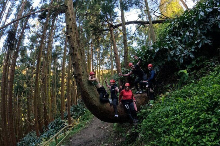 Adventure Hike Discovering São Miguel's Hidden Waterfalls