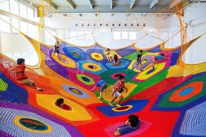 OliOli Museum Dubai Algemeen toegangsbewijs