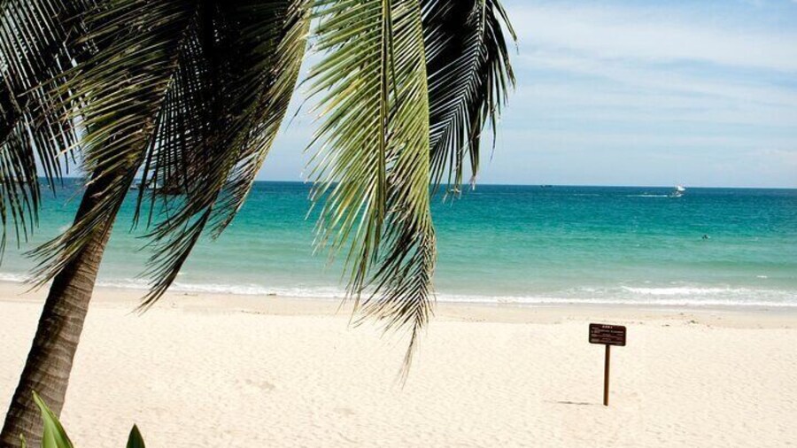 Sanya Private Car Charter Custom Tour with Driver 1 to 3 Days