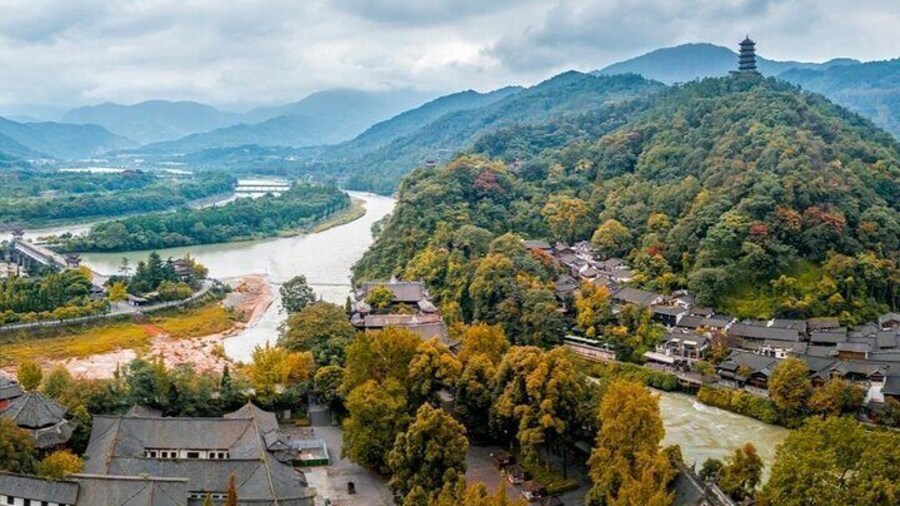 1-day tour Dujiangyan Panda Base and Dujiangyan Irrigation System