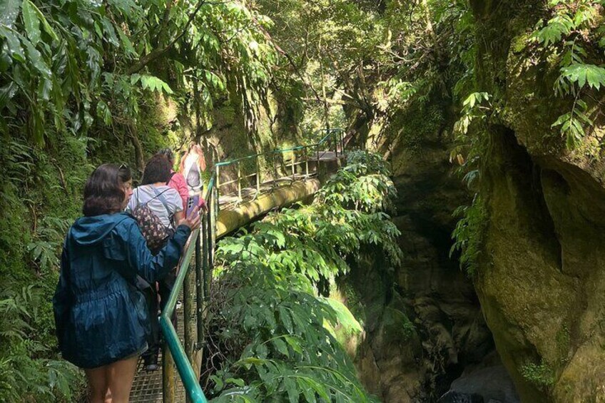 Private Tour Lagoa das Sete Cidades and Lagoa Do Fogo 