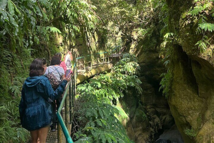 Private Tour Lagoa das Sete Cidades and Lagoa Do Fogo