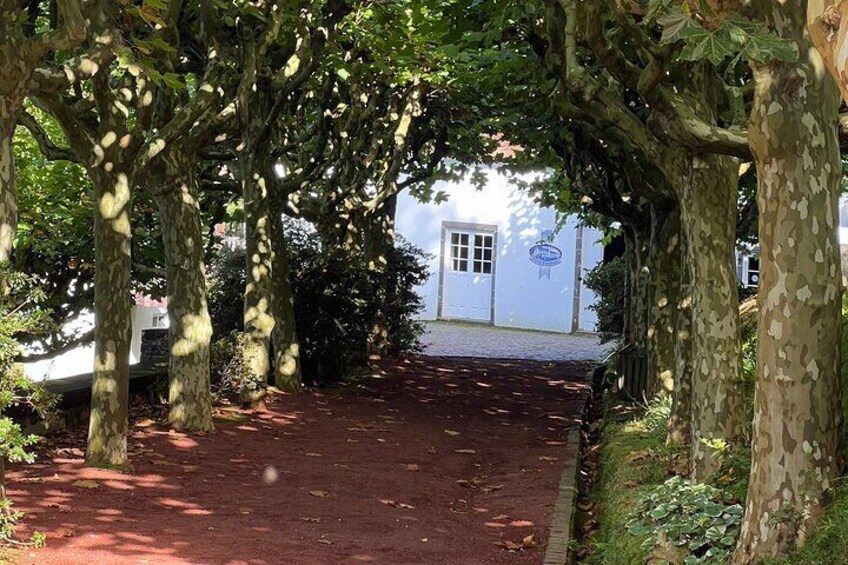 Full Day Furnas Private Tour