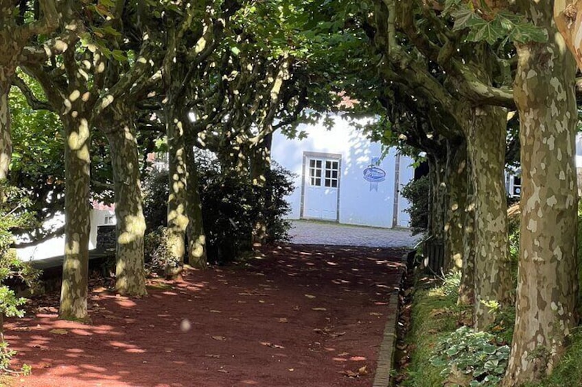 Full Day Furnas Private Tour