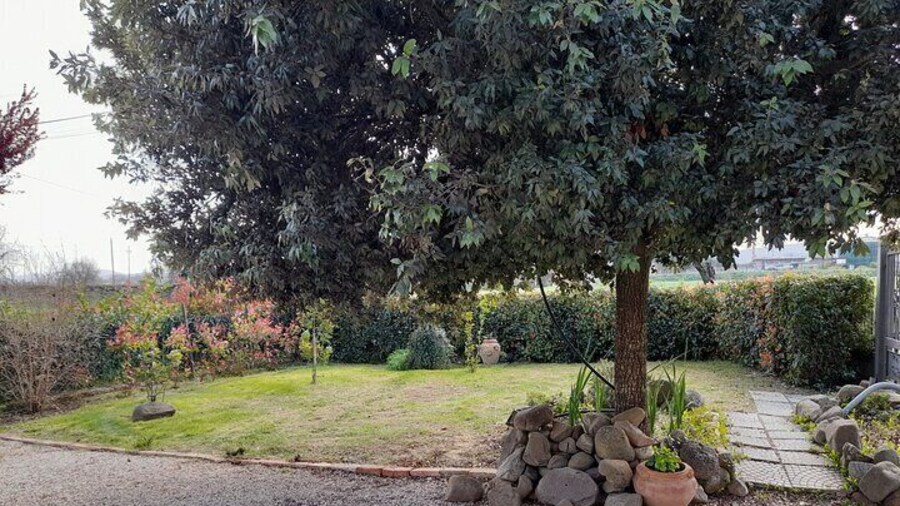 Fun guaranteed with our family