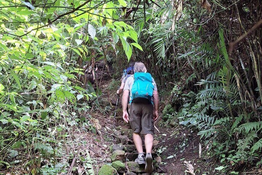 Granada Islets and Mombacho Volcano Full Day Adventure