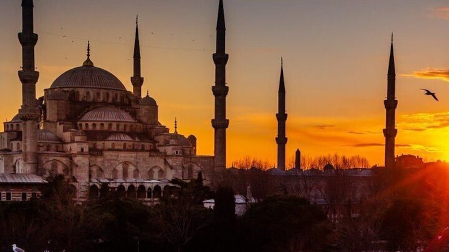 Istanbul Diamond Membership Access to Over 500 Coupons