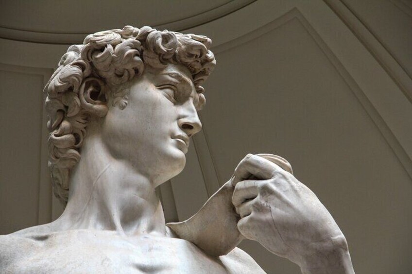 Skip-the-Line Entry Ticket to Gallerie dell'Accademia Audio