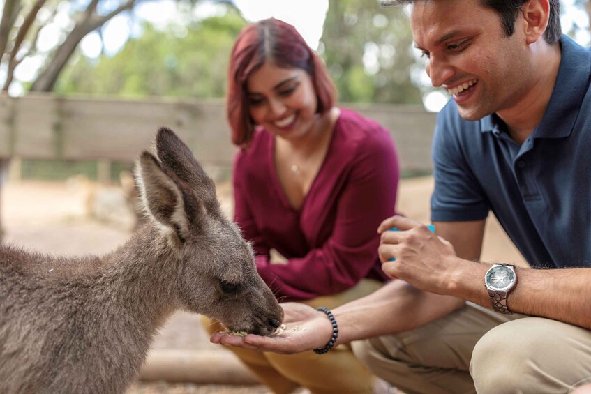Picture 1 for Activity Sydney: Blue Mountains Scenic World, Wildlife Park and Lunch