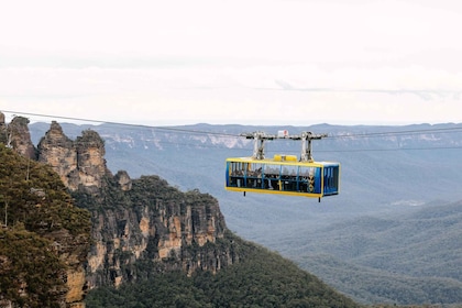 Sydney: Blue Mountains Scenic World, Wildlife Park and Lunch