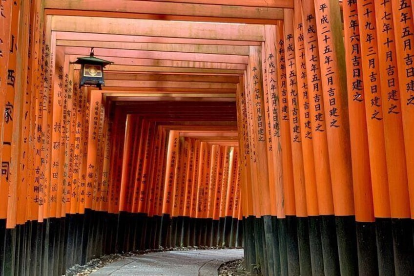 Hidden Secrets of Fushimi Inari: Bamboo Paths and Sake Village