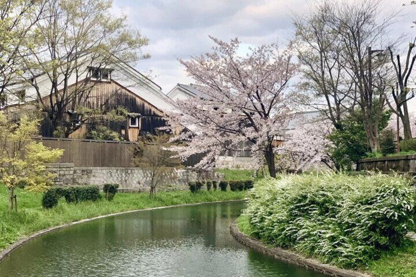 Hidden Secrets of Fushimi Inari: Bamboo Paths and Sake Village