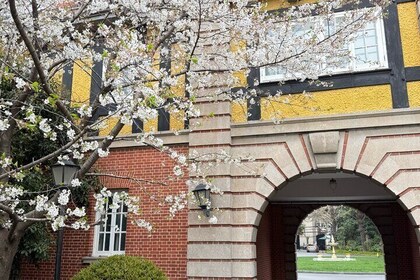 Tour a pie en minigrupo de la concesión francesa de Shanghái